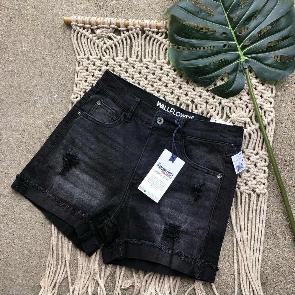 NWT Wallflower Black Distressed Jean Shorts Size 1 /25